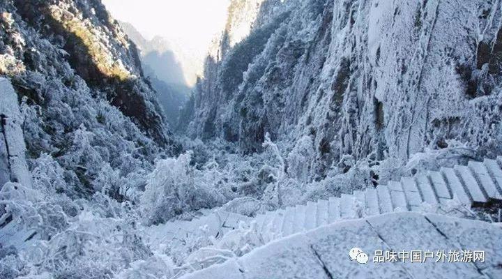 快刺水果